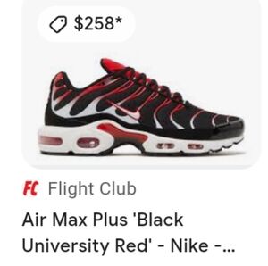 A Brand New pair never been worn Nike Air Max retail price $258